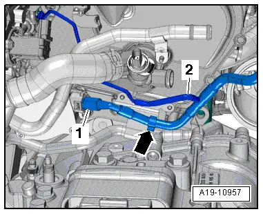 Audi Q3. A19-10957